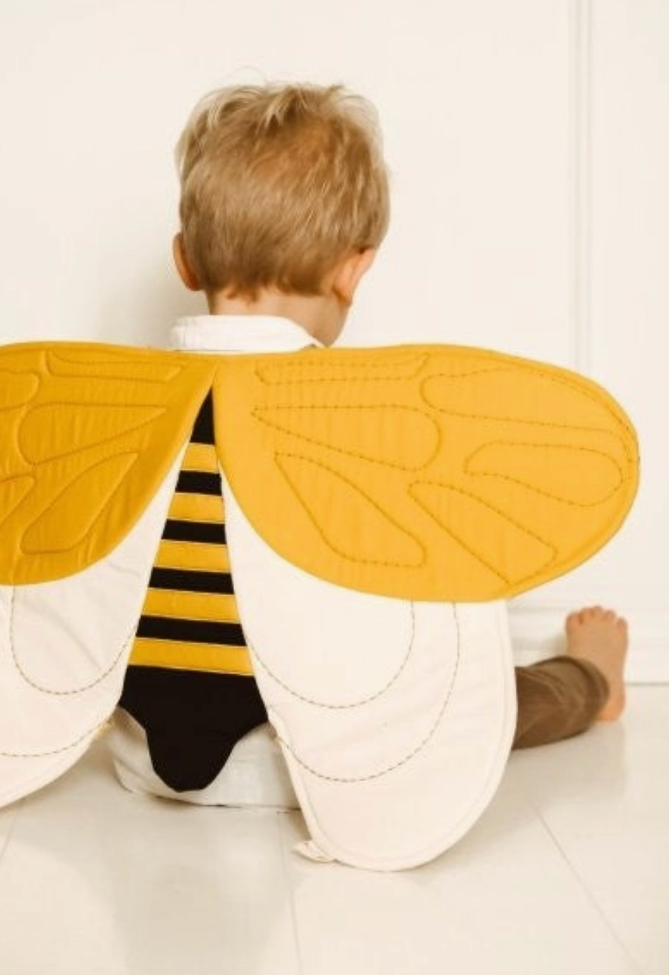 Dress up wings